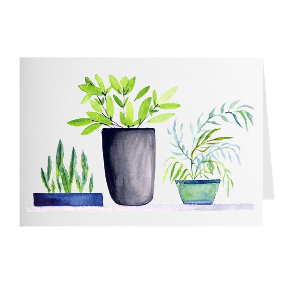 | Shirtacle