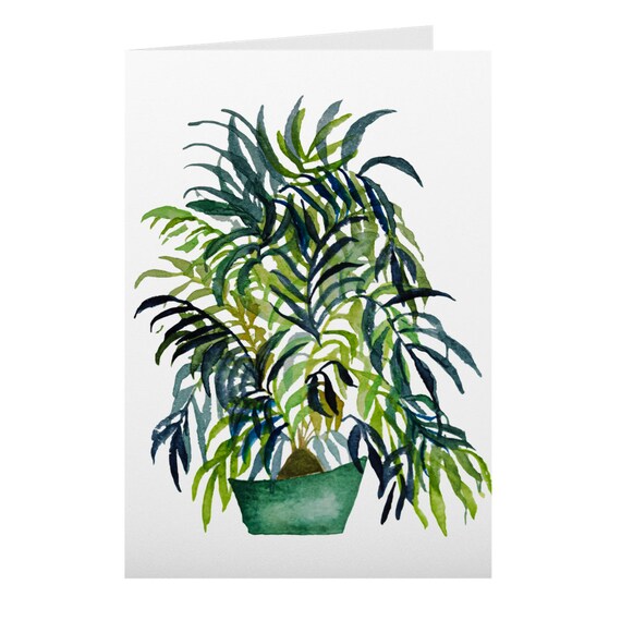 | Shirtacle