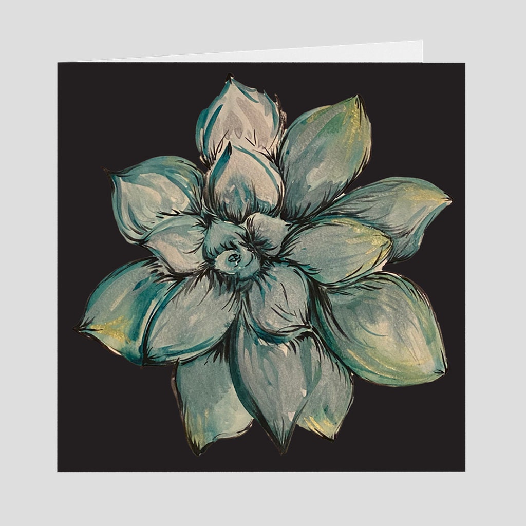 | Shirtacle